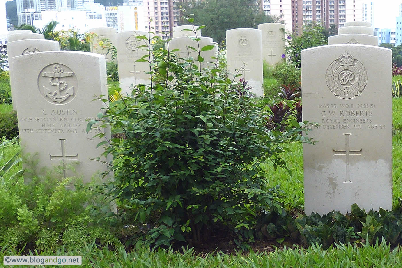 Royal Engineers and Royal Navy - G.W. Roberts, C. Austin